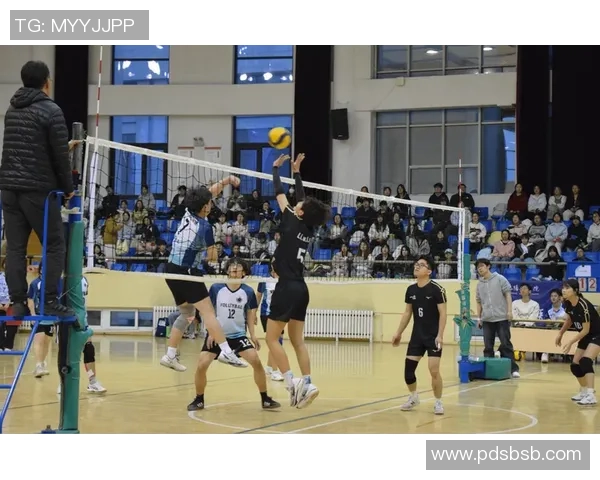 重庆排球队在全国排球灵活性排行榜中荣登第九名展现出色竞技实力